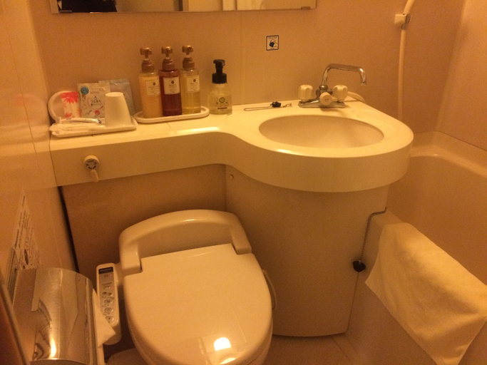 Bathroom 4, Kashiwa Plaza Hotel, Kashiwa