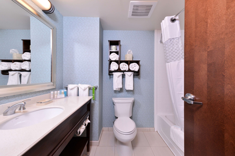 Bathroom 5, Hampton Inn Rome, Oneida