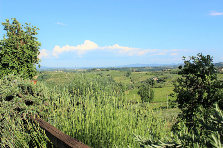 Others 5, Villa Gambassi near San Gimignano, Florence