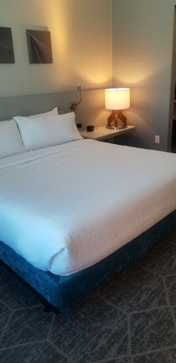 Bedroom 3, Hilton Garden Inn Colorado Springs Downtown, El Paso