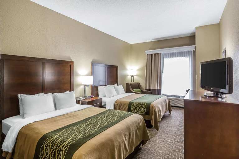 Bedroom 4, Comfort Inn Kingsport Southeast, Sullivan