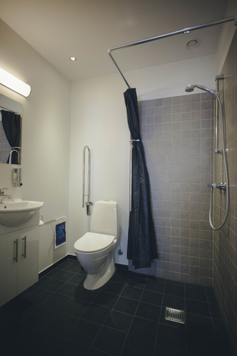 Bathroom 4, Dancenter Hotel Jomfru Ane, Aalborg