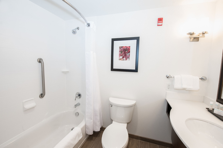 Bathroom 4, Hilton Garden Inn Indiana at IUP, Indiana