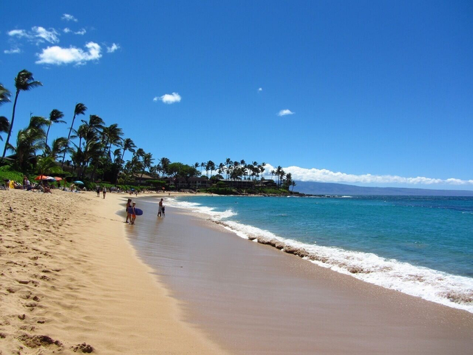 Others 4, Kapalua Bay Villa 17b4 Gold Ocean View, Maui