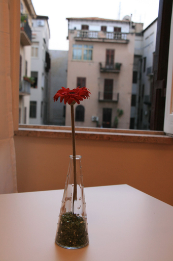 Others 4, Castelnuovo Rooms, Palermo