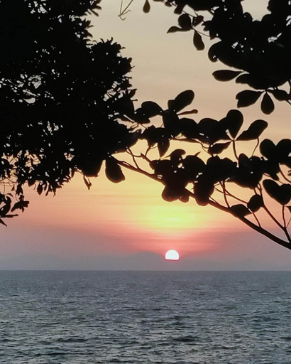 Others 4, Jungle Hill Beach Bungalow, Nua Khlong