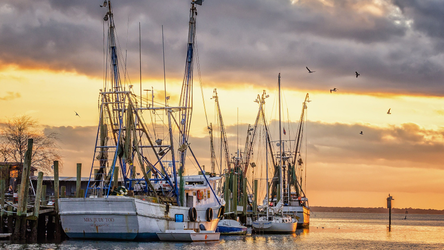 Food & Drinks 5, Shem Creek Inn, Charleston