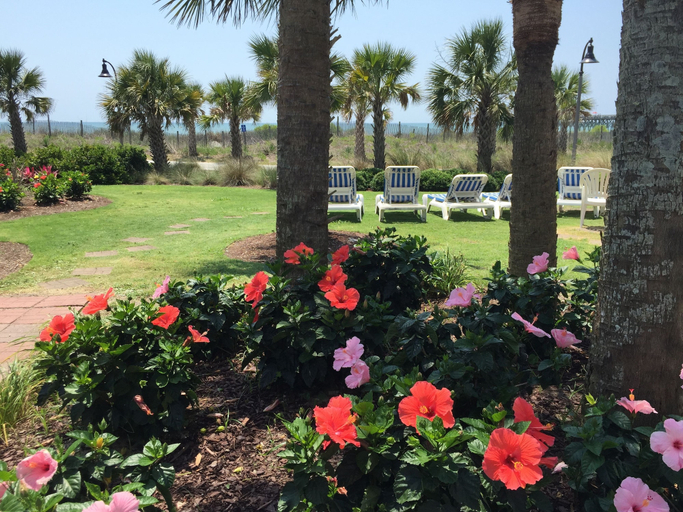 Others 5, Windsurfer Hotel, Horry