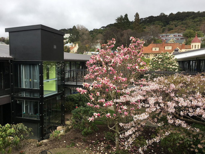 Exterior & Views 2, Aurora On George, Dunedin