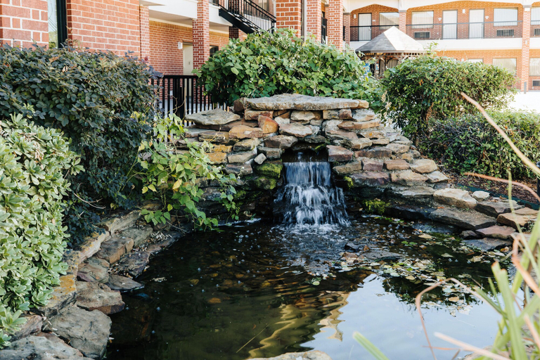 Exterior & Views 2, Winchester Inn & Suites Humble/IAH/North Houston, Houston