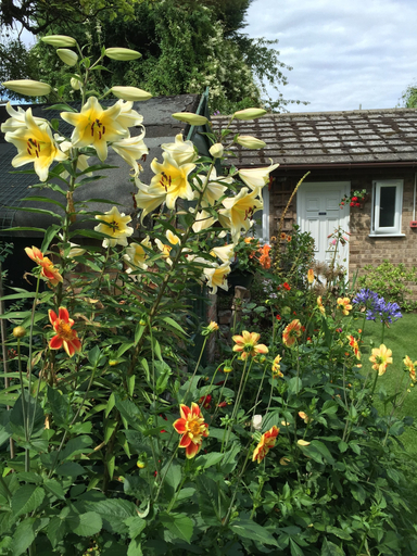 Others 5, Fairlight Lodge, Cambridgeshire
