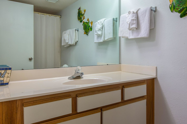 Bathroom 4, Phoenix VII #1009, Baldwin