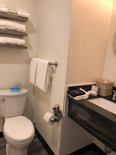 Bathroom 4, The Inn on Mount Desert, Hancock