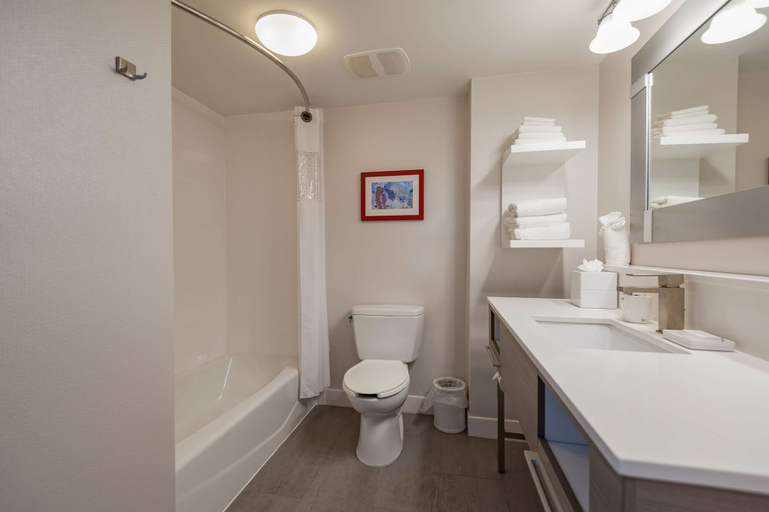 Bathroom 4, Hampton Inn East Windsor, Mercer
