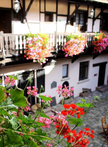 Exterior & Views 2, Le Gouverneur, Bas-Rhin