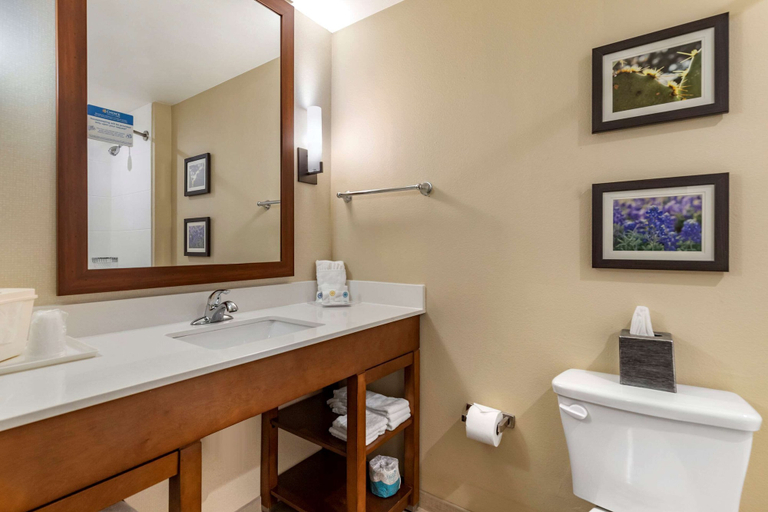 Bathroom 4, Comfort Suites Kyle, Hays