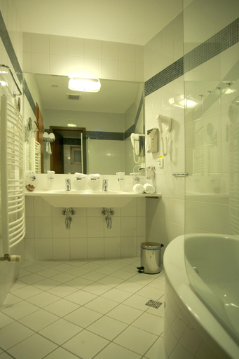 Bathroom 4, Venus, Karlovy Vary
