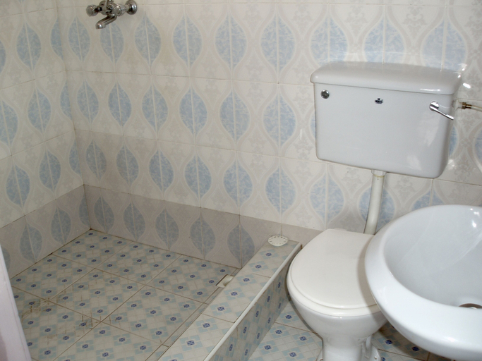 Bathroom, Western Nordic Lodge, Tema