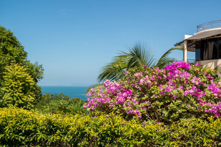 Exterior & Views 2, Sunset Hill Boutique Resort, Ko Phangan