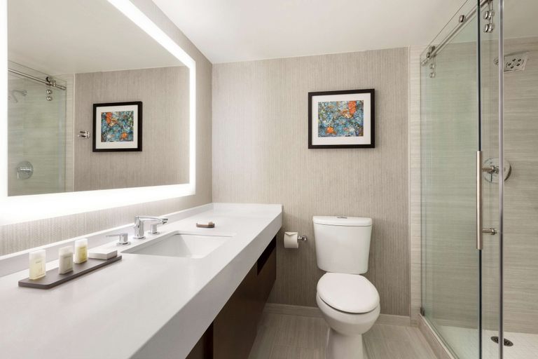 Bathroom 3, Embassy Suites by Hilton Chicago Lombard Oak Brook, Dupage