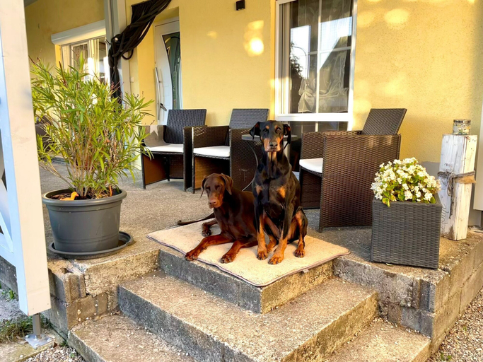 Exterior & Views 2, Ferienwohnung Toja, Günzburg