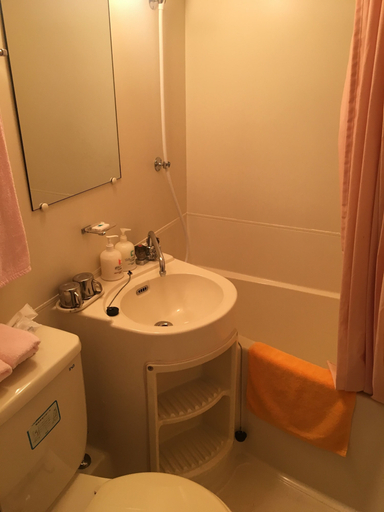 Bathroom 3, Petit Hotel and Restaurant Air Mail, Hakuba