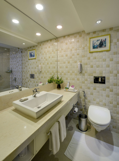 Bathroom 5, Fortune Park Galaxy, Vapi - Member ITC Hotels' Group, Valsad