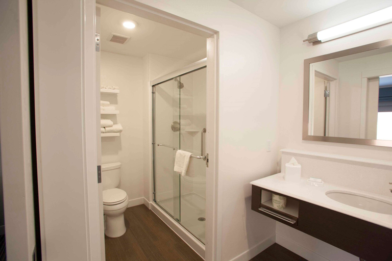 Bathroom 4, Hampton Inn & Suites Downtown St. Paul, Ramsey