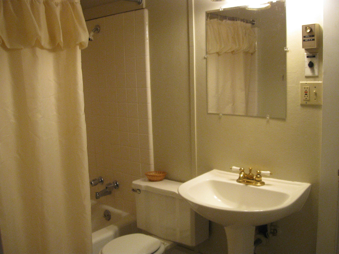 Bathroom 3, The Forest Queen Hotel, Gunnison