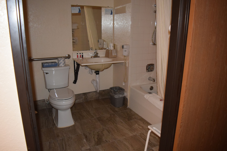 Bathroom 4, Super 8 by Wyndham Saginaw, Saginaw