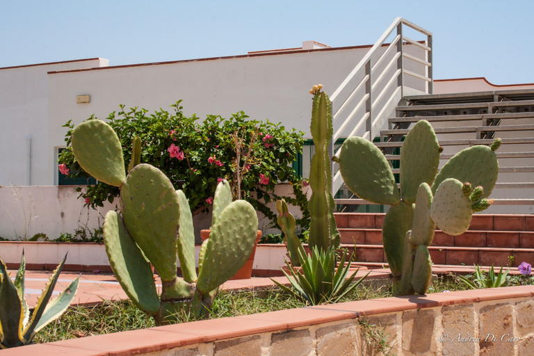 Exterior & Views 2, Hotel Puntamajata, Agrigento