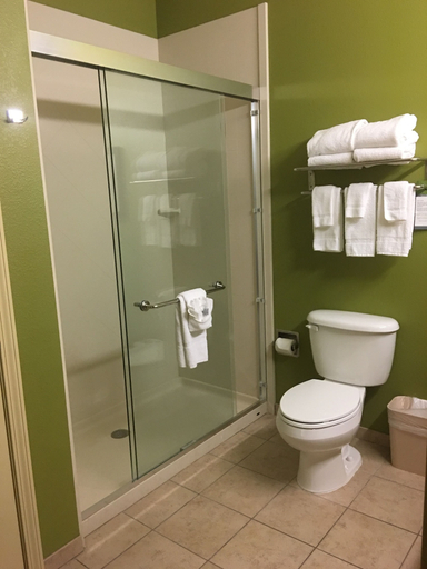 Bathroom 4, MainStay Suites Williston, Williams