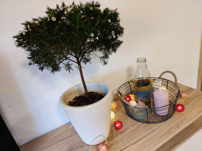 Food & Drinks 5, Ferienwohnung Brunow, Saale-Orla-Kreis