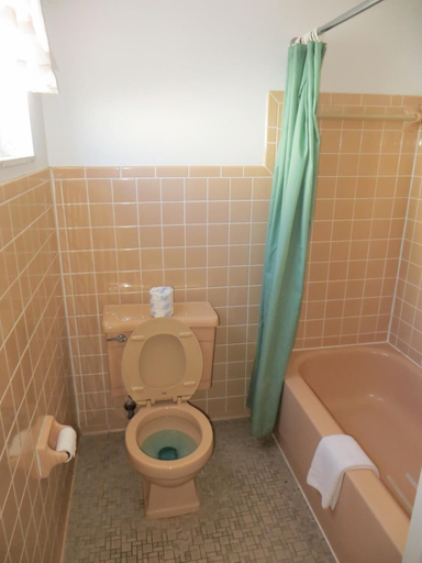 Bathroom 4, Starlite Budget Inn, Cheboygan