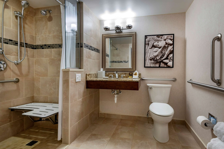 Bathroom 4, Best Western Plus Oswego Hotel and Conference Center, Oswego