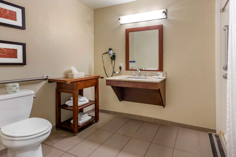 Bathroom 4, Comfort Suites Airport - University, Gallatin