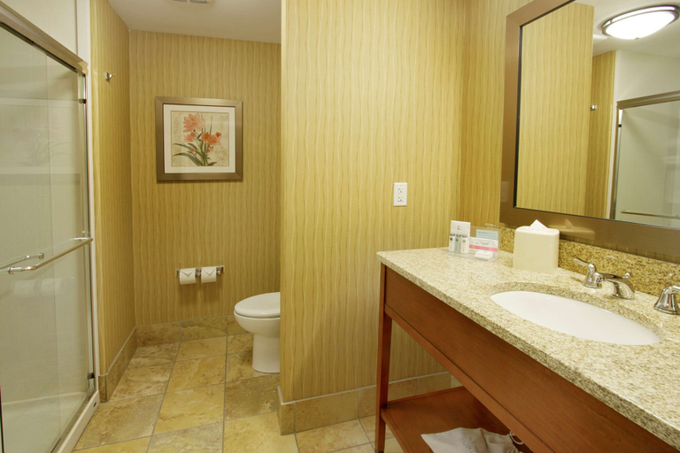 Bathroom 4, Hampton Inn Bangor, Penobscot