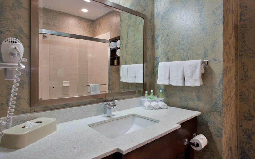 Bedroom 4, Holiday Inn Express & Suites ST LOUIS AIRPORT, Saint Louis