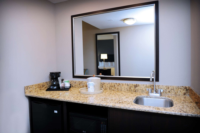 Bathroom 5, Hampton Inn Crystal River, FL, Citrus