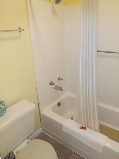 Bathroom 4, Econo Lodge Hornell, Steuben