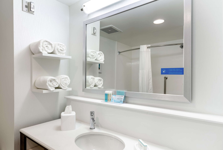 Bathroom 4, Hampton Inn Acworth, Cherokee