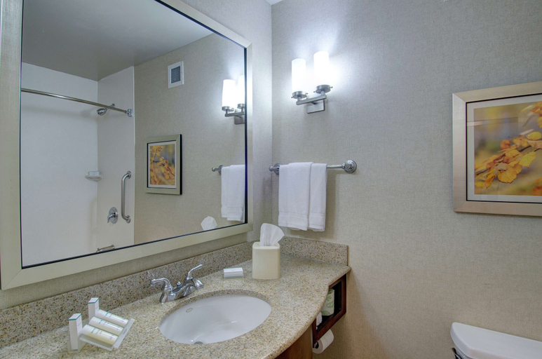 Bathroom 4, Hilton Garden Inn Norwalk, Fairfield