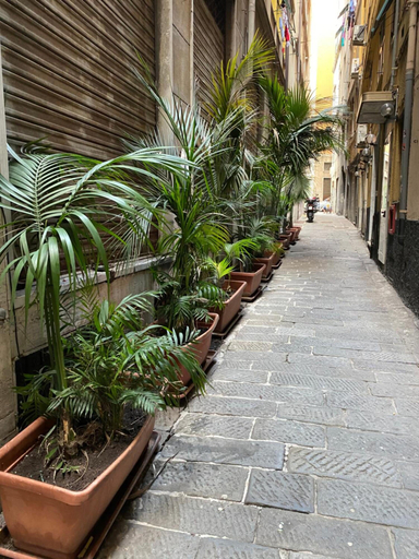 Others 5, Hotel Veronese, Genova