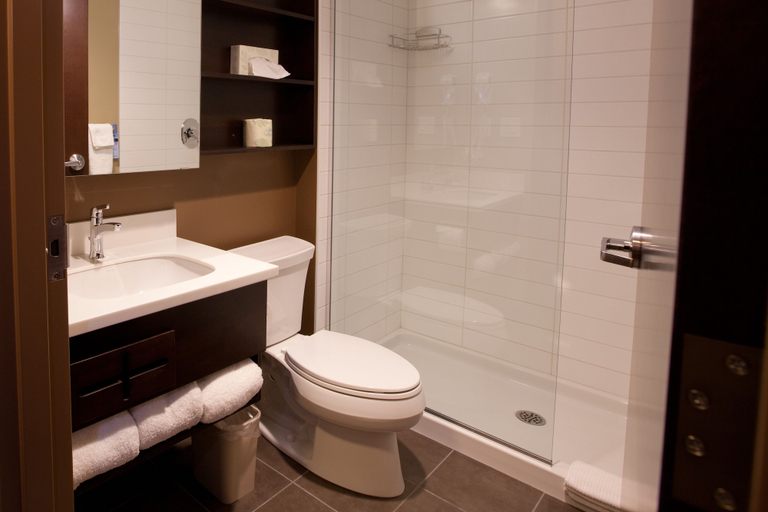 Bathroom 5, Microtel Inn & Suites by Wyndham Weyburn, Division No. 2