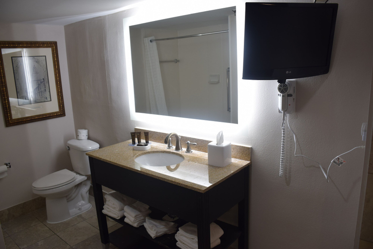 Bathroom 5, Wingate by Wyndham Baltimore BWI Airport, Anne Arundel