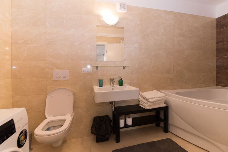 Bathroom 4, Thomas Apartments, Brasov