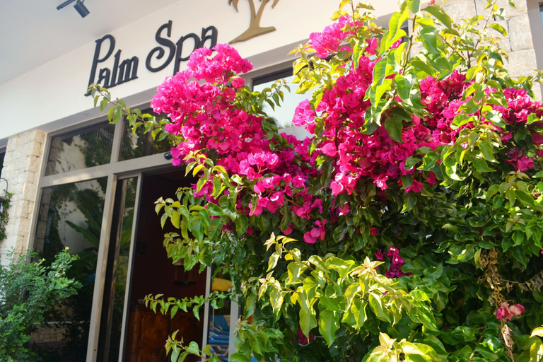 Exterior & Views 2, Flamingo Hotel & Spa - Pet Friendly, Fethiye