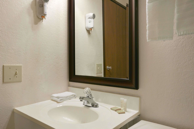 Bathroom 4, Super 8 by Wyndham Saginaw, Saginaw