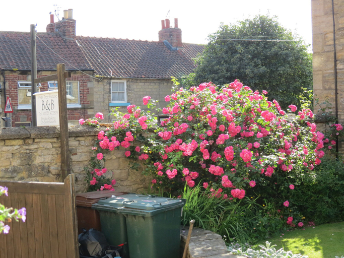 Exterior & Views, Pear Tree House B&B, North Yorkshire