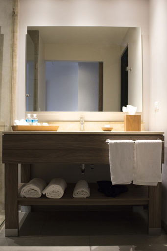 Bathroom 4, Hampton Inn by Hilton Durango, Mexico, Durango